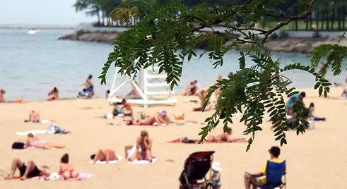 Chicago Beach